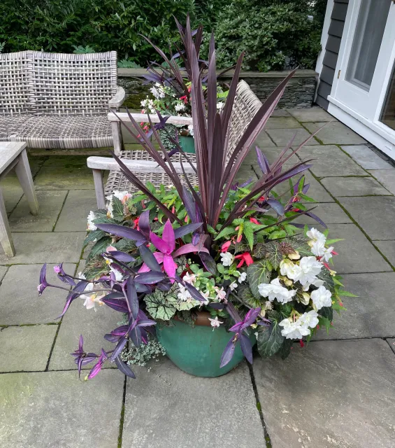 A green flowerpot filled with purple, white, pink, and green flowering plants is placed on a stone patio outside a house, with a gray and black siding wall and a white door visible in the background.