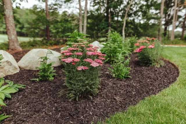 Mulch garden and pink flowers