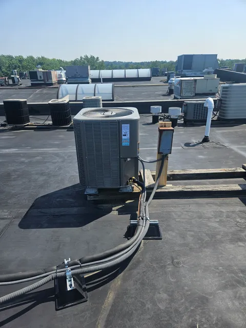 DaSilva Mechanical work photo