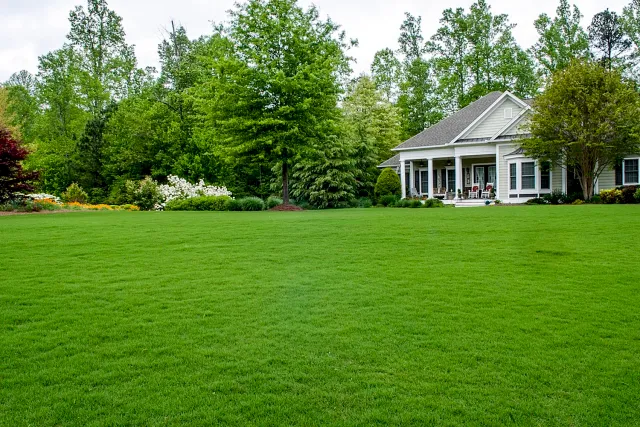 lawn-care-services.jpg