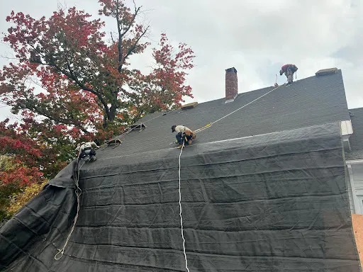 Review photo by Oscar