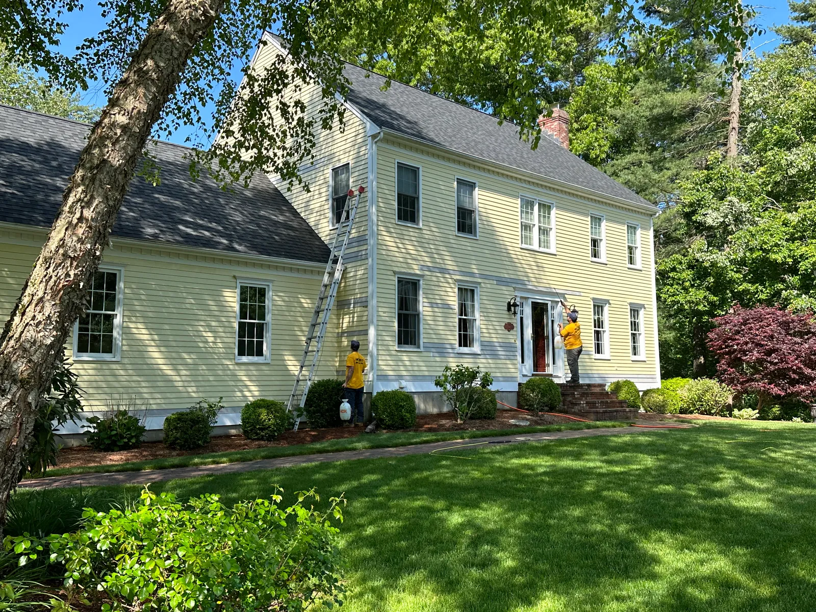 work photo from Google listing