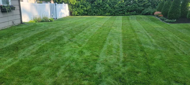Green Yard work photo