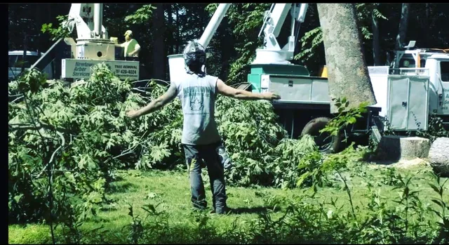 work photo from newtownarborservices.com