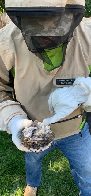 Jason Killoren - Pest Control work photo