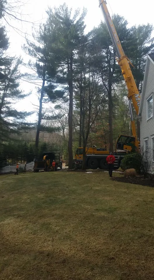 work photo from johncarusolandscaping.com