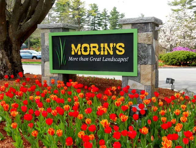 work photo from morinslandscaping.com