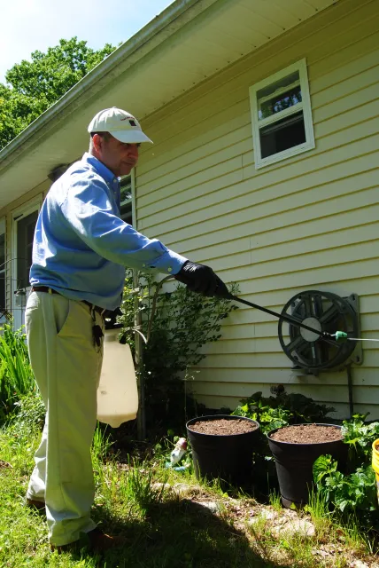 Smart pest control work photo