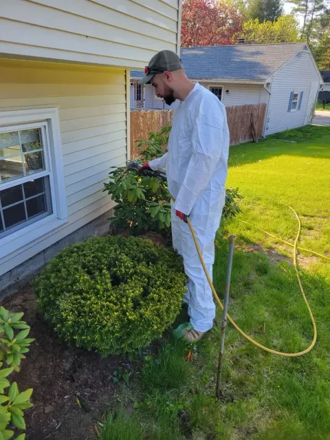 Keene Pest Control LLC work photo