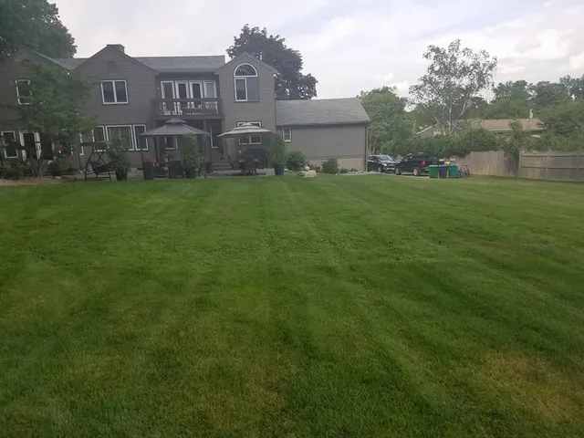 Osorio Landscaping and Tree Services work photo