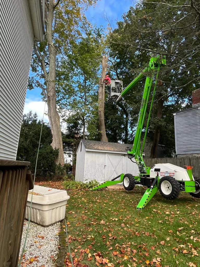 Diamond Landscaping & Tree Services
