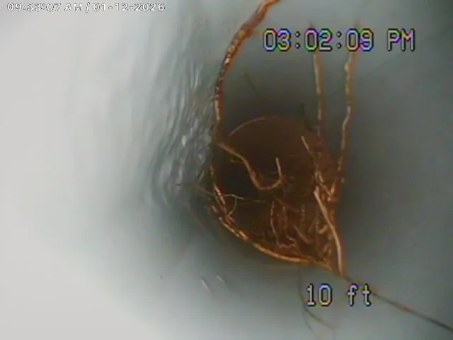 10 ft in — fine root hairs already establishing at a pipe joint. Caught early on camera, cleared before it becomes a full backup.