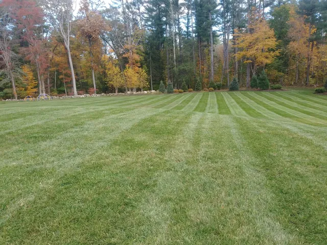 Rosales and Son's landscaping & Construction work photo
