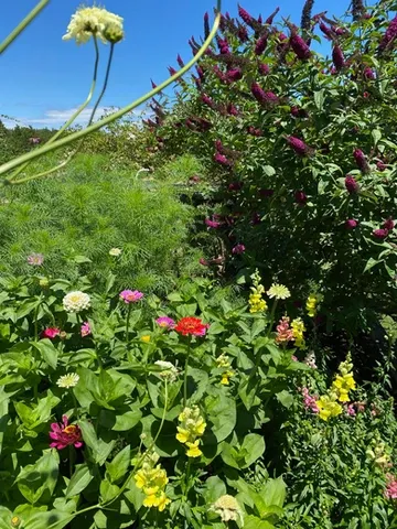 work photo from uncommongroundgardenservices.com