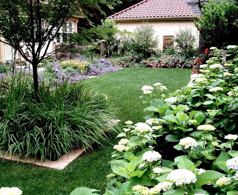 Spanish Style Backyard