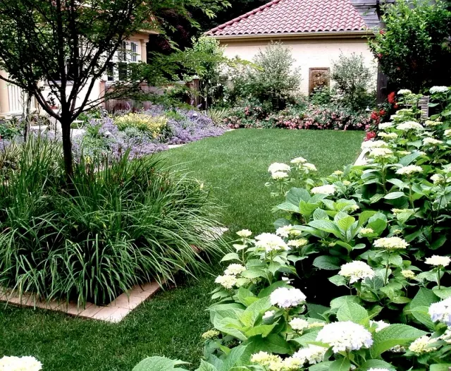Spanish Style Backyard