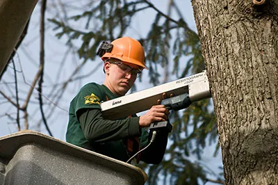 C. L. Frank & Company work photo