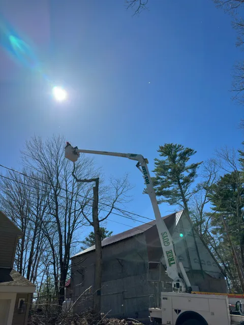 work photo from treeguysinc.com