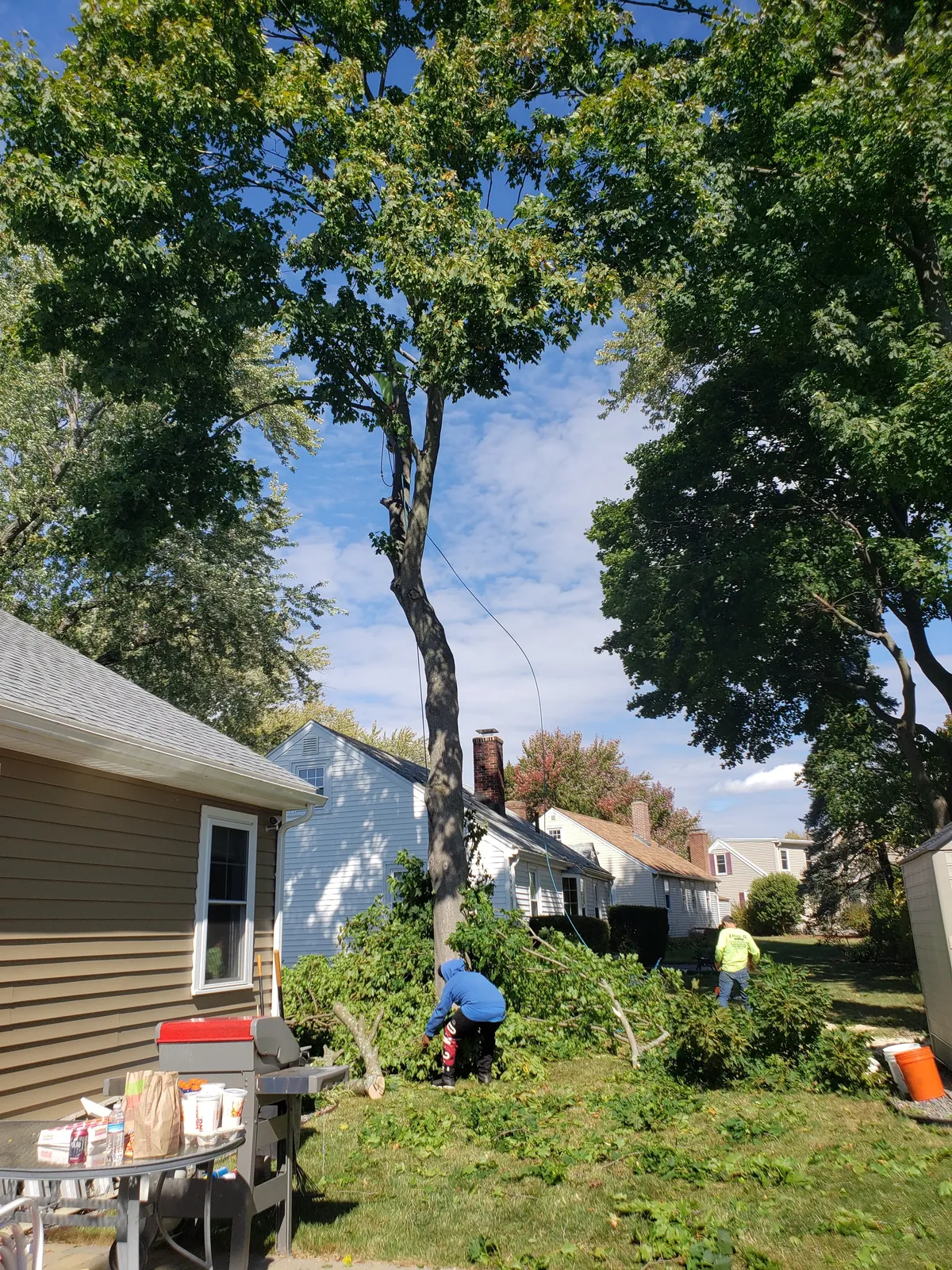 work photo from Google listing