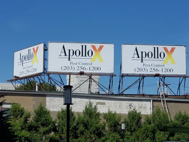 ApolloX Pest Control work photo