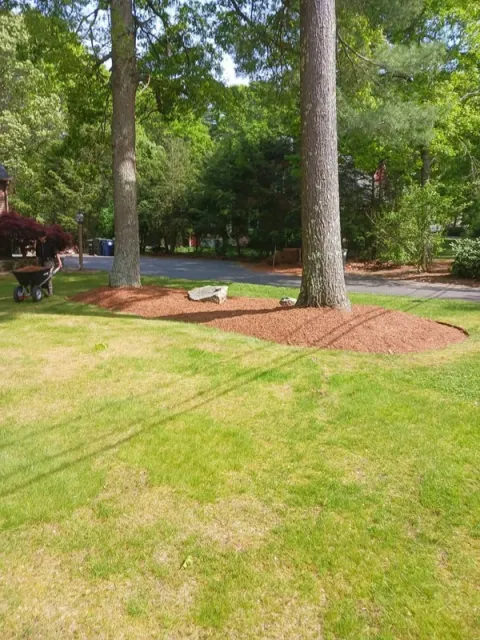 work photo from 65f1f838aa759.site123.me