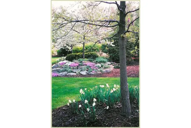 work photo from sanmarinolandscape.com