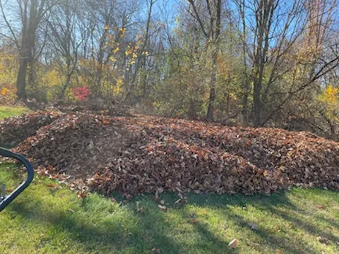 work photo from rvmlandscaping.com