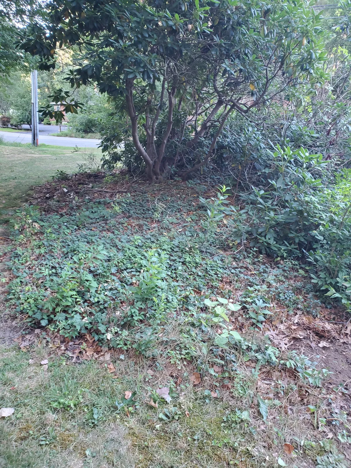 work photo from rpslandscaping.com