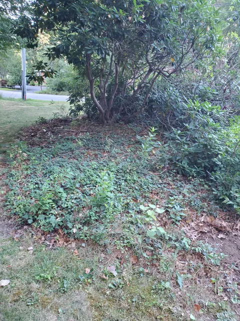 work photo from rpslandscaping.com