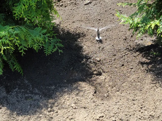 Trinity Landscaping researched project photo