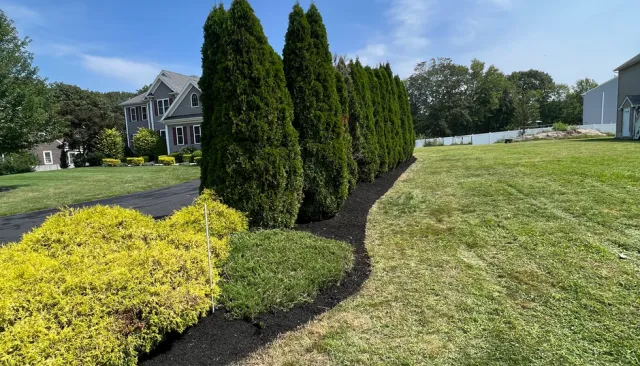 Sebastian and Sons Landscaping work photo