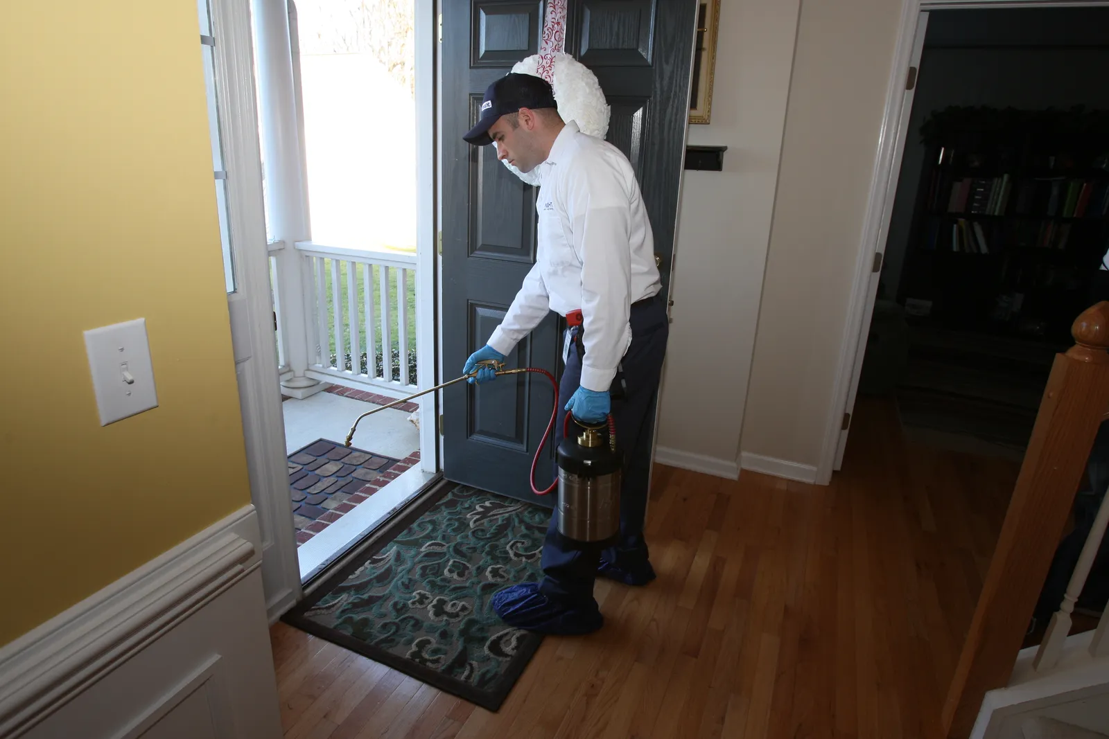 work photo from Google listing