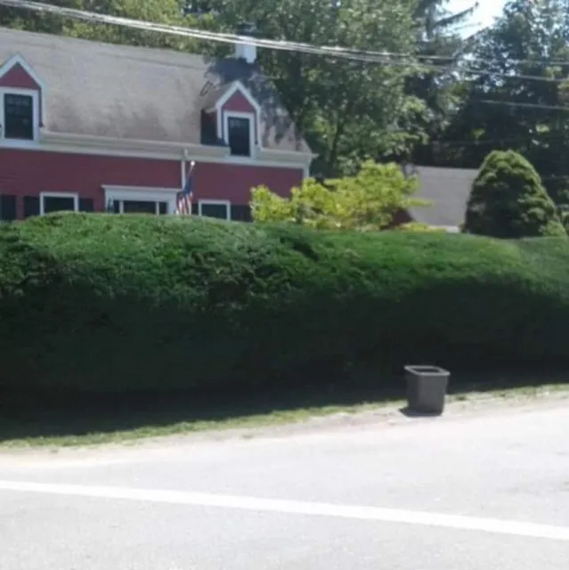 C&B LANDSCAPING work photo