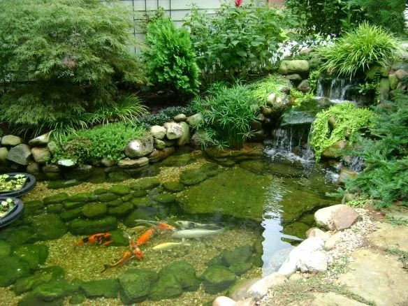 work photo from backtonature.earth
