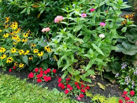 work photo from prettysimplegardens.com