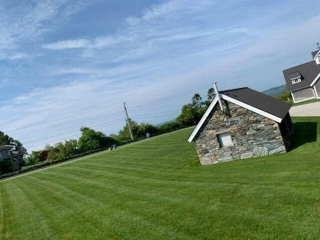 lawn lc.jpg