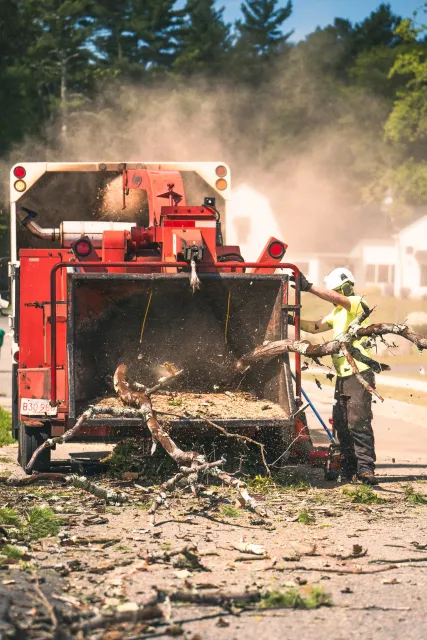 A firefighter clearing fallen branches from the street with a leaf vacuum attached to a red truck, while dust and debris are in the air in a neighborhood with houses and trees in the background.