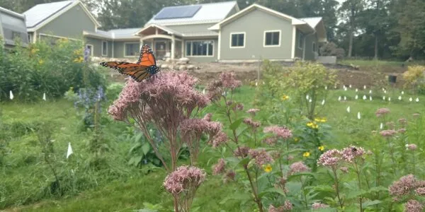 wildscaping to new levels