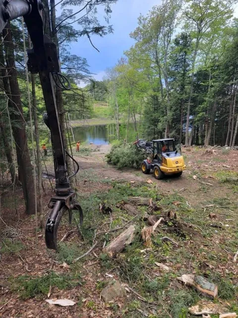 work photo from webstertree.net