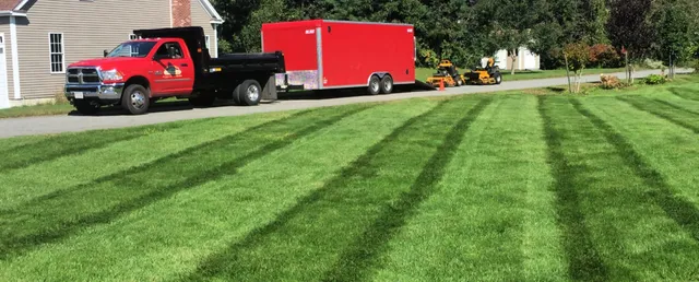 Lawn Maintenance