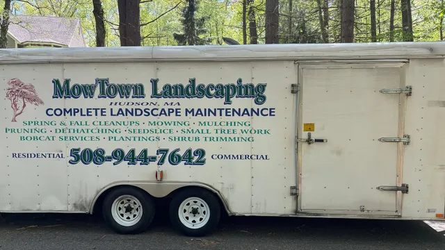 MOWTOWN LANDSCAPING AND JUNK REMOVAL researched project photo