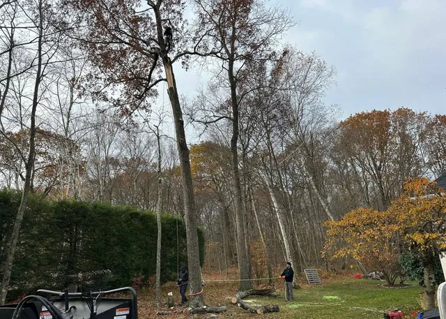 work photo from evergreenlawnandlandscape.com