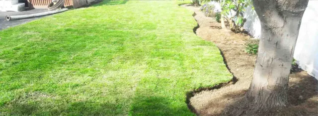 Yard grass cutting