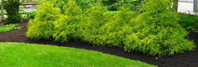 work photo from dimaurolandscaping.com