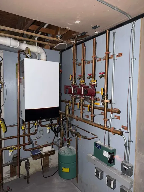 Mechanical plumbing installation for domestic water and baseboard heating system