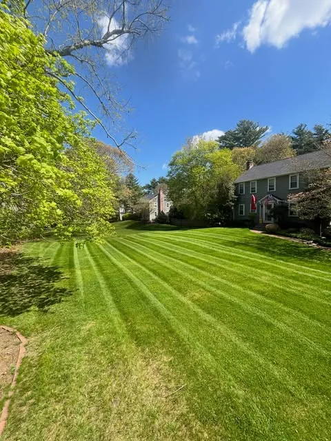 Rams Landscaping researched project photo