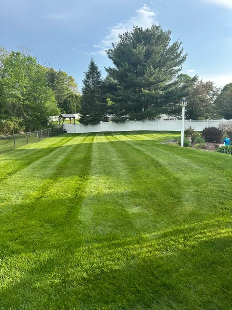 Ponce Lawn Care Inc. work photo