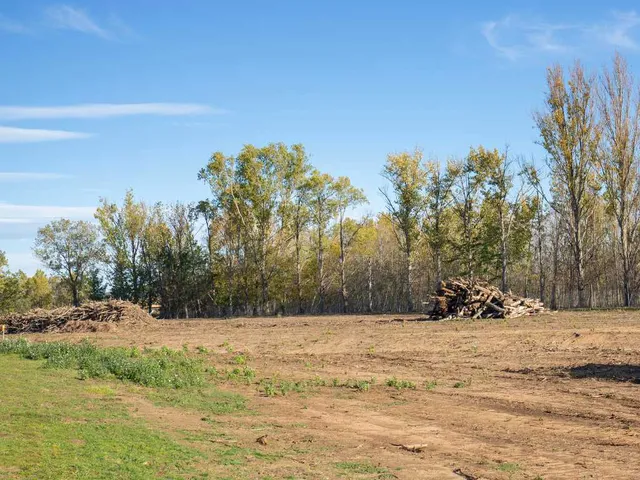 land clearing Bristol CT