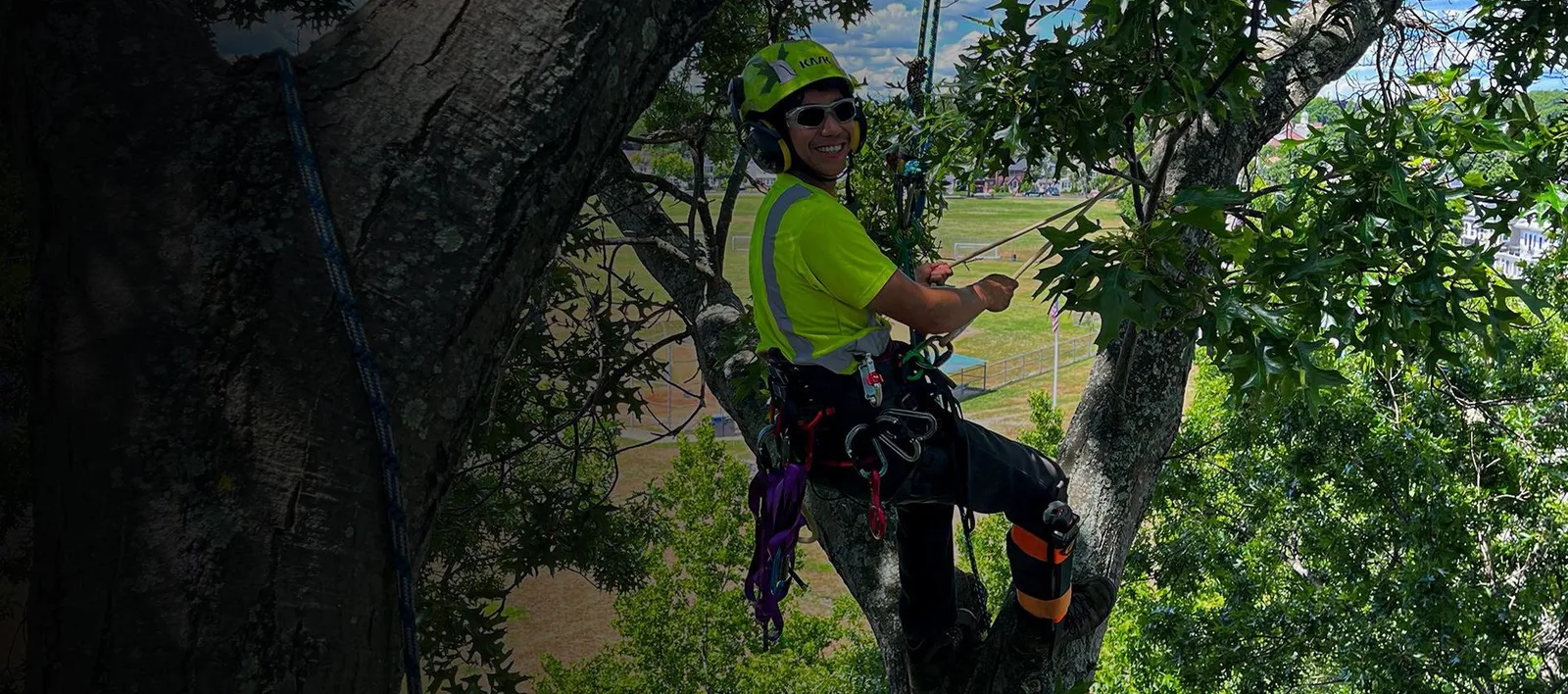 work photo from barretttreeeast.com