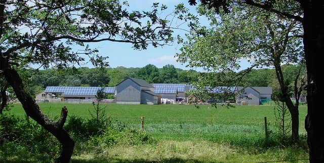 work photo from southmountain.com